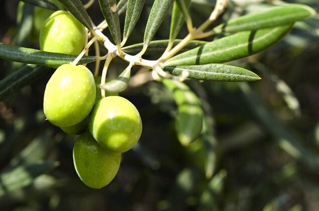 Beneficios de comer aceitunas en una dieta cetogénica